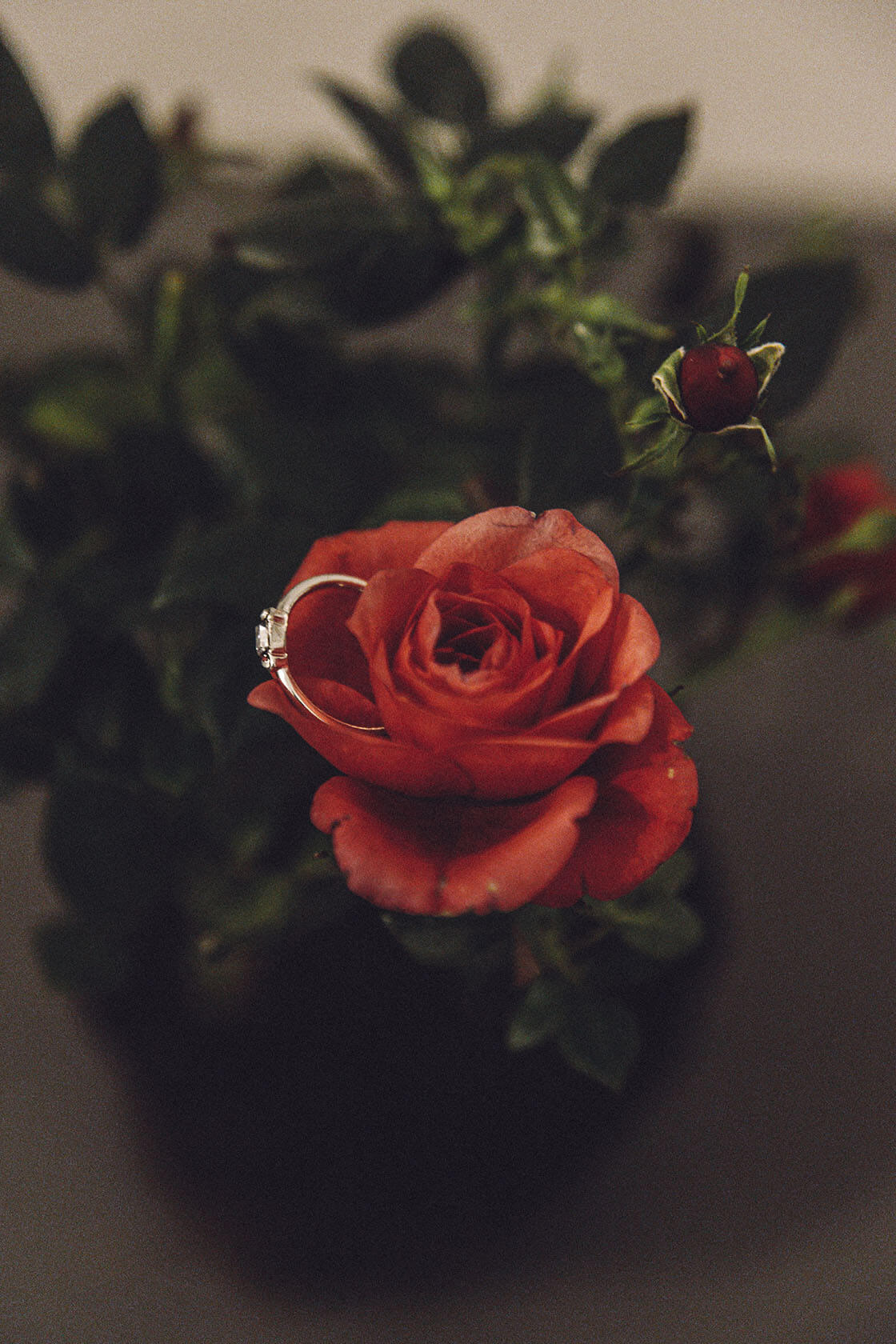 Roses Flower Ring