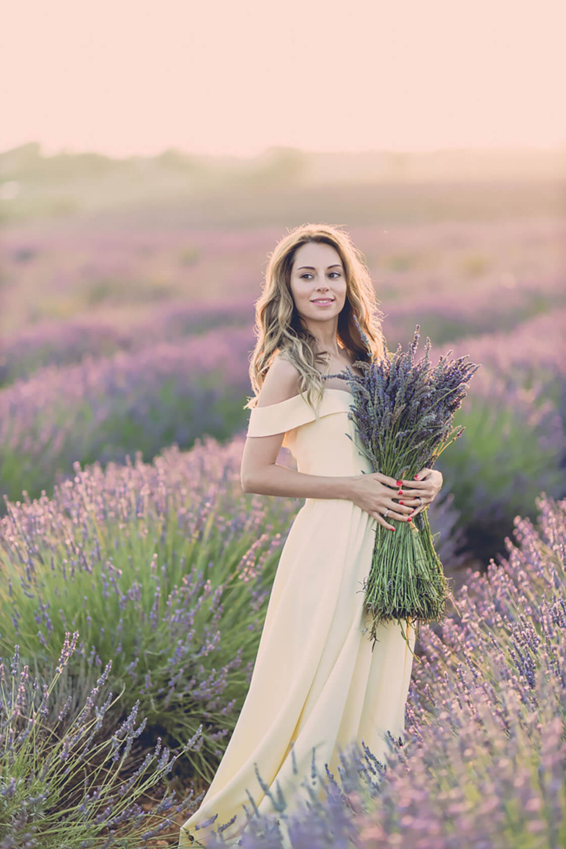 Valensole Lavender Field
